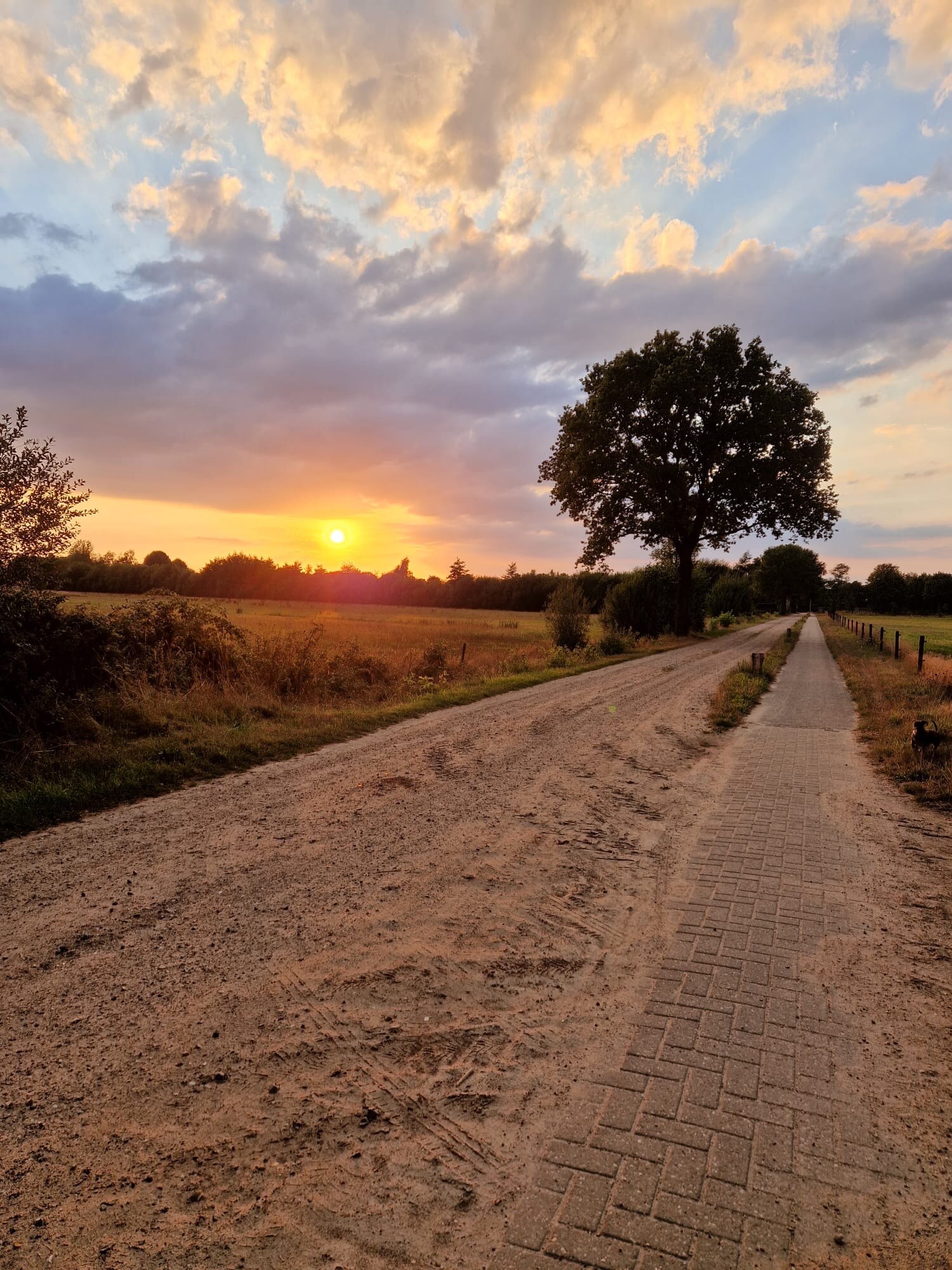 Silhouette portrait on a country road at sunset