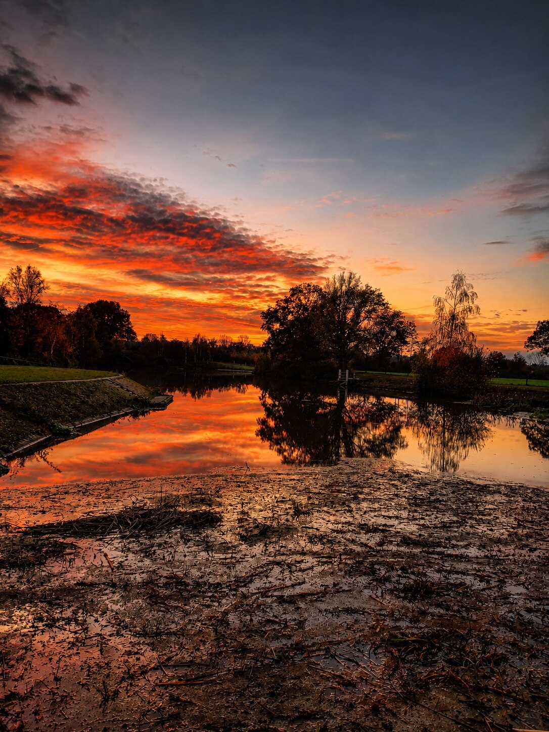 Golden sunset portrait with lake reflection